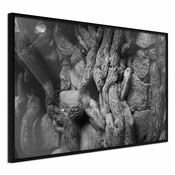 Poster - Strong Roots 90x60