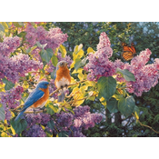 Cobble Hill Puzzle Spring performance 500 kosov