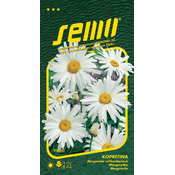 Semo Daisy bela - Shasta Daisy 0,8g