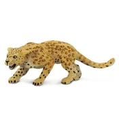 Safari Leopard