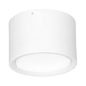 LED Stropna svetilka LED/16W/230V bela d. 12 cm 2800-3500K