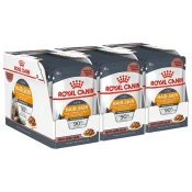 Royal Canin Hair & Skin Care Jelly vrečka za mačke 36 x 85 g