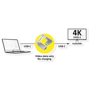 ROLINE Roline USB-C kabel USB 3.2 gen. 1 (USB 3.0) USB-C® vtič\, USB-C® vtičnica  2.00 m črna  11045496, (20630716)
