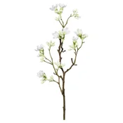 Ukrasna Grancica 51cm Scheinquittenzweig