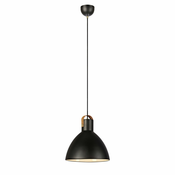 Markslöjd 106550 - Luster na sajli EAGLE 1xE27/60W/230V
