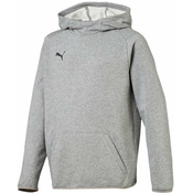 Puma Športni pulover 128 - 140 cm/S Liga Casuals Hoody JR