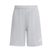 ADIDAS PERFORMANCE Športne hlače ENT26 svetlo siva