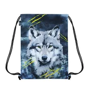 KAOS VREČKA ZA COPATE ALPHA