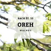 Bachove kapljice 33, Oreh - Walnut, 10 ml