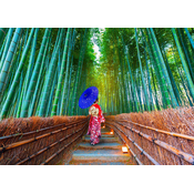 Enjoy - Puzzle Asian Woman in Bamboo Forest - 1 000 kosov