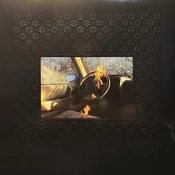 DULLI, GREG - RANDOM DESIRE
