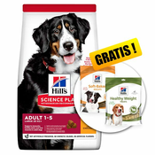 Hills Science Plan Canine Adult Large Breed Chicken 14kg + DARILO