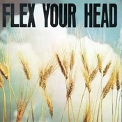 Various Artists - Flex Your Head (Reissue) (Coloured) (LP)