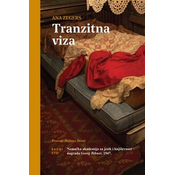 Tranzitna viza