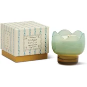 Paddywax Tulip Wisteria & Willow dišeča sveča 155 g