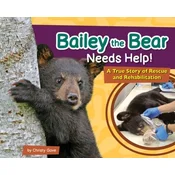 Bailey the Bear Needs Help!