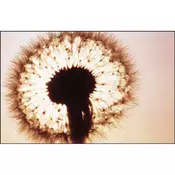 COKIN A031 Naranca (85C) filter A mera COA031