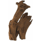 REPTI PLANET DriftWood Bulk M