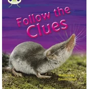 Bug Club Phonics Non-fiction Set 18 Follow the Clues