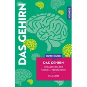 Durchblick Das Gehirn