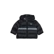 ADIDAS ORIGINALS Zimska jakna nočno modra / siva / črna