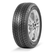 205/55R16 Davanti 91H Wintoura zim