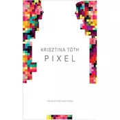 Pixel