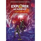 Explorer Academy: Akademia Odkrywców. Sokole pióro