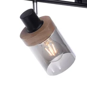 JUST LIGHT. GmbH Stropna svetilka Pasqual, dvosvetlobna - Dnevna soba/jedilnica - Sodobni - črna, prozorna - Kovina