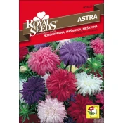 SEME ROYAL SEEDS 16 Astra Nojevoperna, mešanica