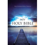 Value Outreach Bible-NIV