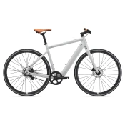 Bicikl Momentum Voya E+2 25km/h Lunar