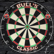 Tarča za pikado iz sisala BULLS