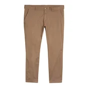 TOM TAILOR Men + Chino hlače kapučino