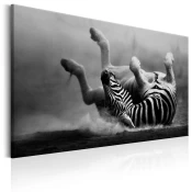 Slika - Fun in the Dust 90x60