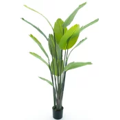 Dekordom 52052 Drvo u saksiji strelitzia palm 187cm -1 - nnt ( 040070 )