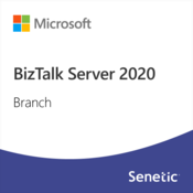 Microsoft BizTalk Server 2020 Branch (DG7GMGF0G49Z-0002)