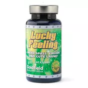 Goldfield Lucky Feeling 60 kaps bez okusa