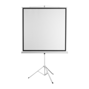 Sbox projektorsko platno PSMT-135-2 / 240x240cm - Tripod