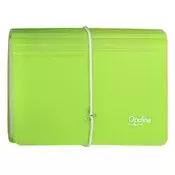 Organizator dokumentov z gumico PP DL Opaline (13 predelkov) prozorno zelen