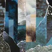 Cremation Lily - Dreams Drenched In Static (Limited Edition) (LP)