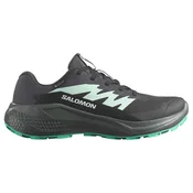 Salomon Alphaglide GTX