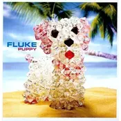 Fluke - Puppy (2 LP)