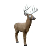 Rinehart Target 3D Midwest Buck
