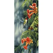 shumee Diamantno vezenje Čudoviti kolibri 55x115