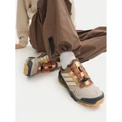 ADIDAS TERREX Nizki čevelj Skychaser slonovina/temno siva