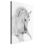 artgeist Slika Na Platnu White Horse