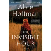 The Invisible Hour