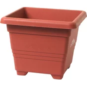 TERRA Embalaža Plastia Begonija - terakota 16x16 cm