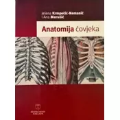Anatomija covjeka